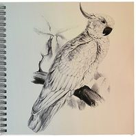 3dRose db_123739_1 Cockatiel Vintage Bird Drawing Book, 8 by 8-Inch