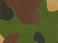 CAMO Military Design Print Gift Grade Tissue Paper Sheets - 15" x 20" Package Amount (24)