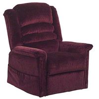 Catnapper Soother Power Lift Recliner 9818