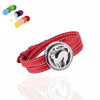 constantlife Multi-Design Red Genuine Leather Band Fragrancy Diffuser Bracelet for Lady -316L Stainless Steel Essential Oil Diffuser Lockets for Girl (Silver-Red Dog)