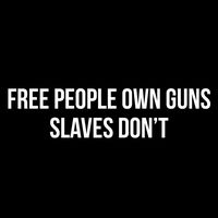 Free People Own Guns Vinyl Decal Sticker | Cars Trucks Vans Walls Laptops Cups | White | 7.5 X 2.2 Inch | KCD1756