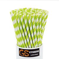 Green Striped Drinking Paper Straws for Birthday Party Wedding Baby Shower Biodegradable Straw Box of 100