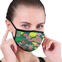 Mouth Masks for Dust Protection Anti Face Mask Washable Earloop Mask Pineapple