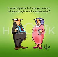 Hi-Look Microfiber Cleaning Cloth - cheaper wine