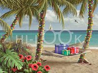 Hi-Look Microfiber Cleaning Cloth - Can You Imagine