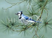 Hi-Look Microfiber Cleaning Cloth - Blue Jay