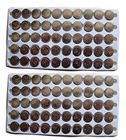 New 100PCS AG10 LR1130 389 LR54 Button Cell Batteries Tray