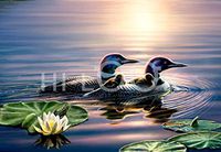 Hi-Look Microfiber Cleaning Cloth - Common Loon, Minnesota State Bird