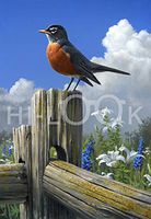 Hi-Look Microfiber Cleaning Cloth - Corner Post Robin