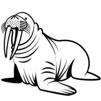 ELKS Unique Design Walrus CAR Decal Sticker, White, 6 Inch, Die Cut Vinyl Decal, for Windows, Cars, Trucks, Toolbox, Laptops, MacBook-virtually Any Hard Smooth Surface