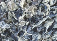 Black Fungus Mushroom Woodear Premium Grade 2000 Gram