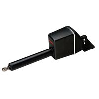 Raymarine Type 1 Linear Drive 12V