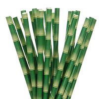 Biodegradable Paper Straws Bamboo (50)