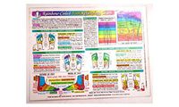 InnerLight Resources Rainbow Colored Foot Reflexology Chart 11" [W] x 8 1/2" [H]