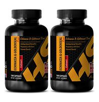 antioxidant Blend Supplements - Echinacea & Goldenseal Root Extract Complex 300MG - goldenseal no Alcohol - 2 Bottles (120 Capsules)