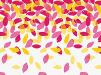 Daisy Petals Tissue Paper (240 Pack )