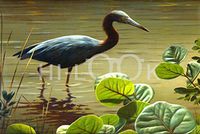 Hi-Look Microfiber Cleaning Cloth - Little Blue Heron