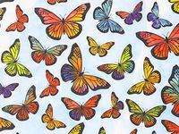 Monarch Butterfly Print Design Gift Grade 20" x 30" Tissue Paper Sheets Size 20" x 30" Choose Package Amount (120)
