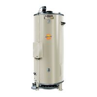 AO Smith BTN-310A Tank Type Water Heater with Commercial Natural Gas