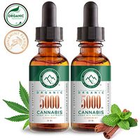 (2 Pack) Organic Hemp Oil - 5000MG - Cinnamint Flavor, Mushroom Infused for Enhanced Bioavailability - Made in USA - Anti-Inflammatory, Hip & Joint Support, Rich in Omega 3 Fatty Acid
