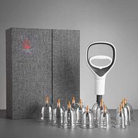 TTZ Chinese Cupping Therapy Set 12 Vacuum Air Suction Cups with Pumping Handle,Wet/Dry,Physical Massage Self Treatment for Back/Neck Pain,Weight Loss