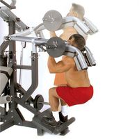 Body-Solid Powerlift Leverage Squat Attachment for SB460 Leverage Gym (LSA50)