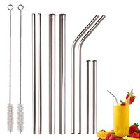 Reusable Stainless Steel Drinking Straws - Set of 8 Assorted Metal Straws 2 Straight and 2 Bent for 20oz 30oz Tumbler, 2 Extra Wide Smoothie Straw, 2 Short for Cocktail Martini Kids