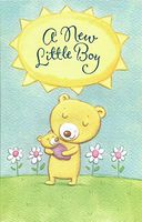 A New Little Boy (B10)