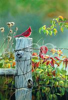 Hi-Look Microfiber Cleaning Cloth - September Morning