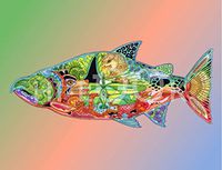 Hi-Look Microfiber Cleaning Cloth - Chinook