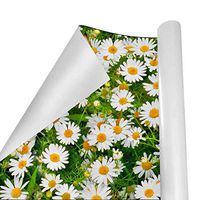 Gift Wrapping Paper Roll Daisy Floralfor Birthday,Holiday,Wedding,Baby Shower Gift Wrap - 3Rolls - 58inch x 23inch Per Roll