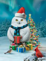 Hi-Look Microfiber Cleaning Cloth - Holiday Hoot