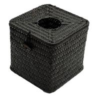 Mini Gadgets 1080P HD 30 Hour Battery Tissue Dispenser Box Camera