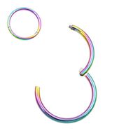 FANSING 14g Cartilage Earring Surgical Steel Lip Rings 14 Gauge Labret Jewelry Helix Earring Conch Earrings Lobe Earrings for Cartilage Piercing 13mm Hoop Earrings for Women Lip Piercing Jewelry