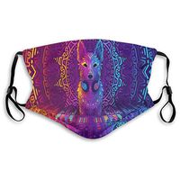 Mouth Masks for Dust Protection Anti Face Mask Washable Earloop Mask Activated Carbon Filter