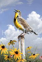 Hi-Look Microfiber Cleaning Cloth - Western Meadowlark, Kansas State Bird