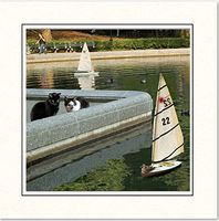 Cat Greeting Cards, Set of 5, Central Park - New York City, Blank, Handmade, 5" X 5" By Deborah Julian