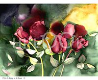 Hi-Look Microfiber Cleaning Cloth - Rose