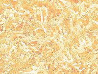 French Vanilla Crinkle Cut Shred 10 lb Box ~ Spring-fill Shred - WRAPS-ZF10FV