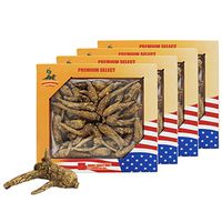 DABC OAK LAND 4OZ*4=453g/ 4 Boxes Hand-Selected American Wisconsin Farmed Ginseng Root | Long Small |美国威斯康辛州 长枝西洋参 花旗参 | Cultivated Wisconsin American Ginseng WI 063# Box