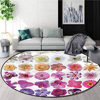 RUGSMAT Flower Round Rug,Flowers Petunia Botanic Non-Skid Bath Mat Living Room/Bedroom Carpet Round-59