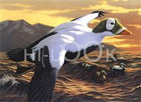 Hi-Look Microfiber Cleaning Cloth - Spectacled Eider