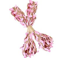 CENFRY 1PC 10yards Flower Bouquet Packaging Tie Flower Belt DIY Gift Wrap Tags (Light Pink)
