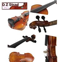 D Z Strad viola Model 120 with Strings, Case, Bow and Rosin-16" (16")