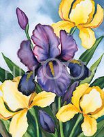 Hi-Look Microfiber Cleaning Cloth, Flower design - Iris