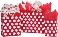 Gift Bags 3 - Assorted Sizes, Bundled with Coordinating Tissue Paper and Raffia Ribbon (Polka DOT RED)