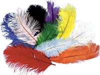 Morris Costumes Ostrich Plumes Peacock