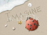 Hi-Look Microfiber Cleaning Cloth - Imagine