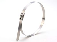 20 Inch Standard 316 Stainless Steel Cable Tie - 100 Pack