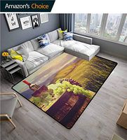 YucouHome Wine Floral Area Rug for Kids Room, Italy Tuscany Landscape Rural Vineyard Autumn Harvest Grapes Drink Viticulture, Fashionable High Class Living Dinning Room(3'x 8') Green Black Brown
